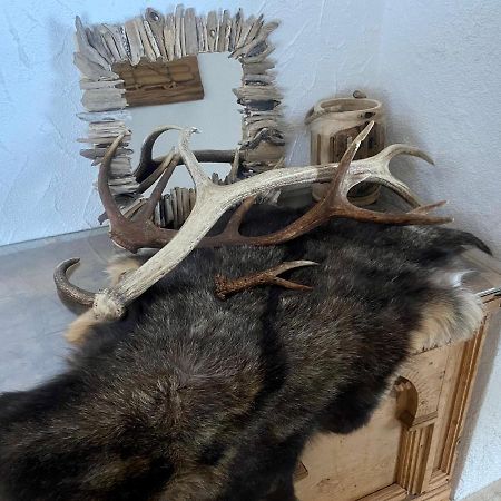 شقة Haus Schnoeller باخ المظهر الخارجي الصورة