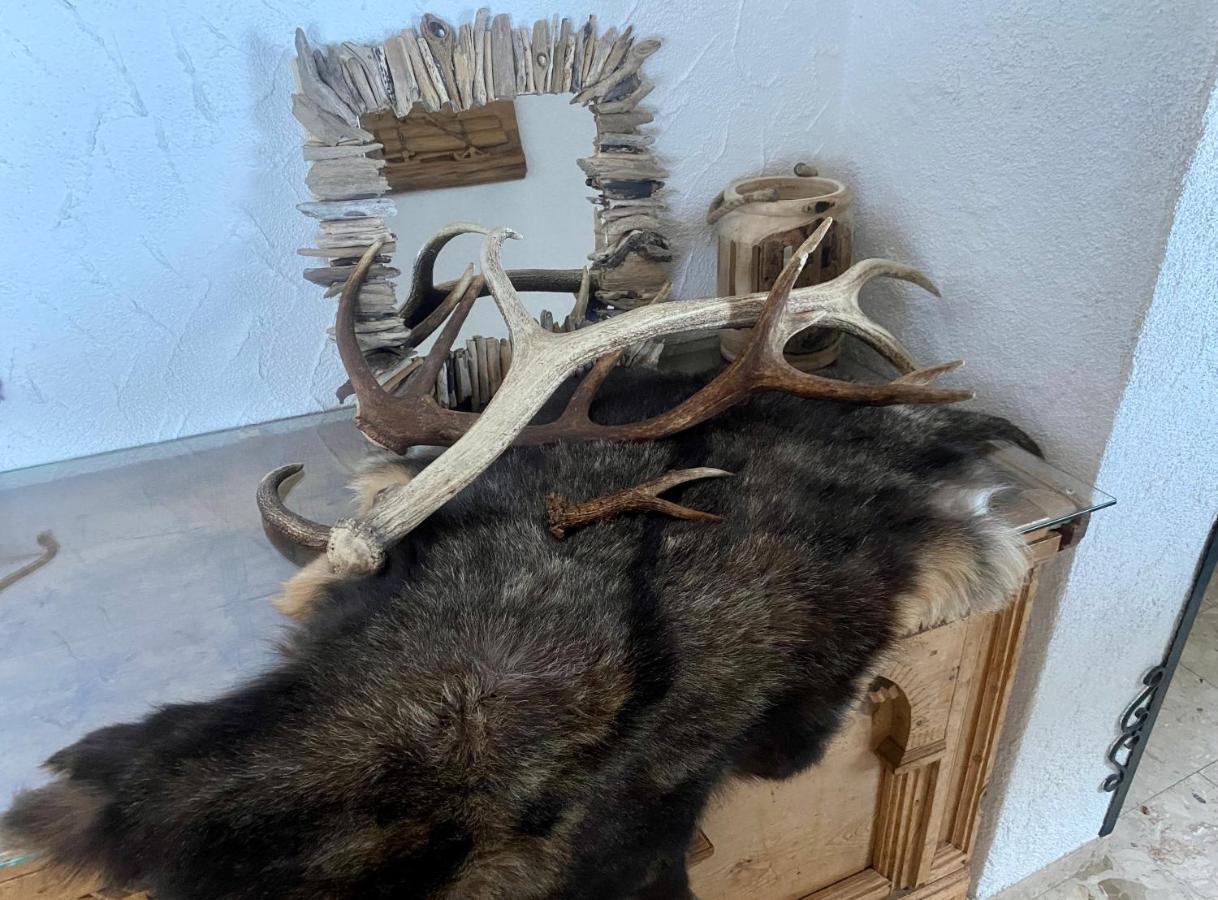 شقة Haus Schnoeller باخ المظهر الخارجي الصورة